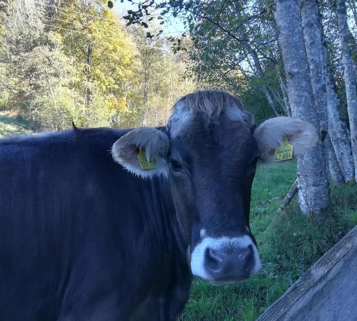 Appartamento Fewo Vilstalsaege Pfronten